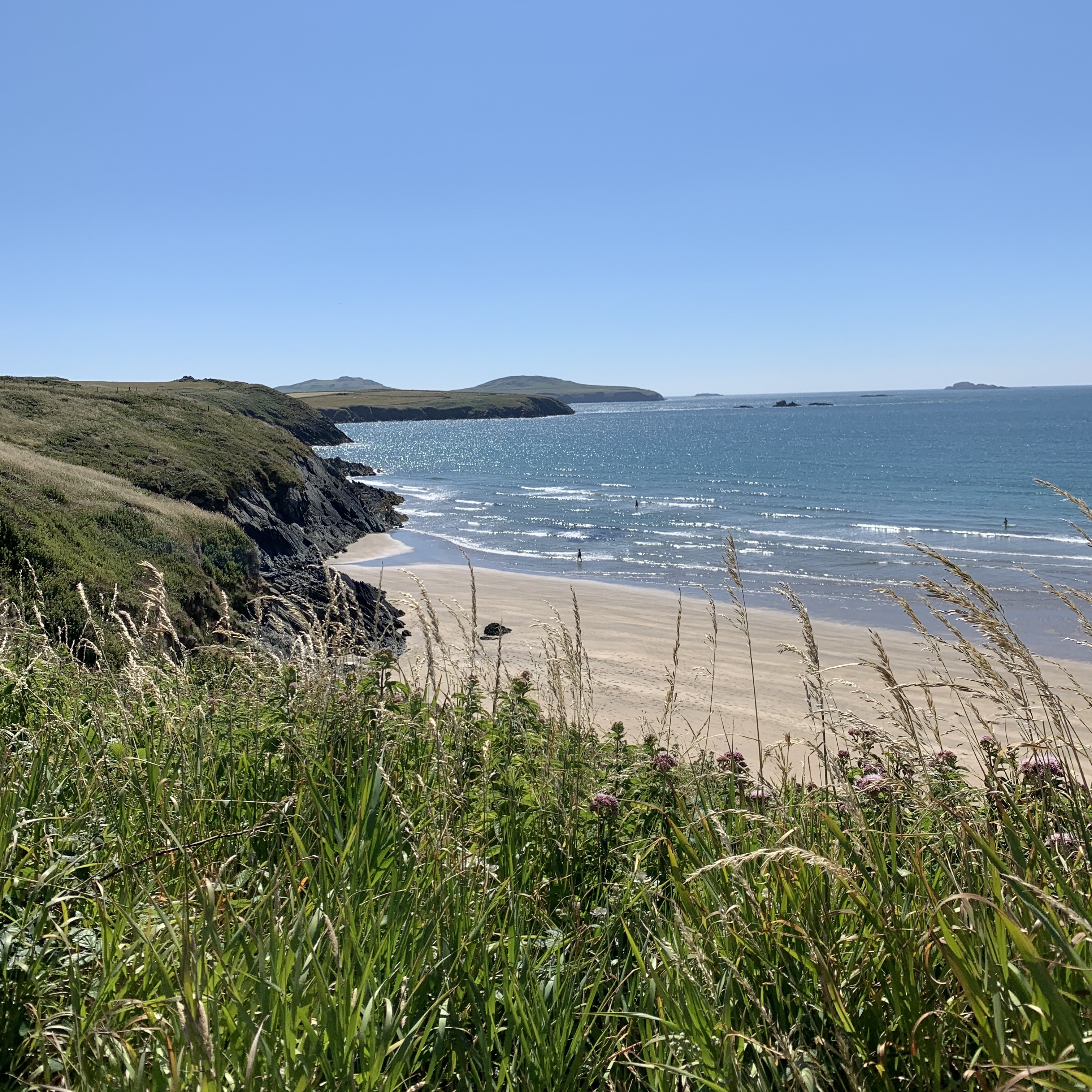 Skomer Suite 